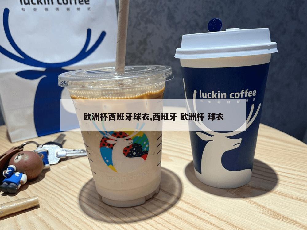 欧洲杯西班牙球衣,西班牙 欧洲杯 球衣