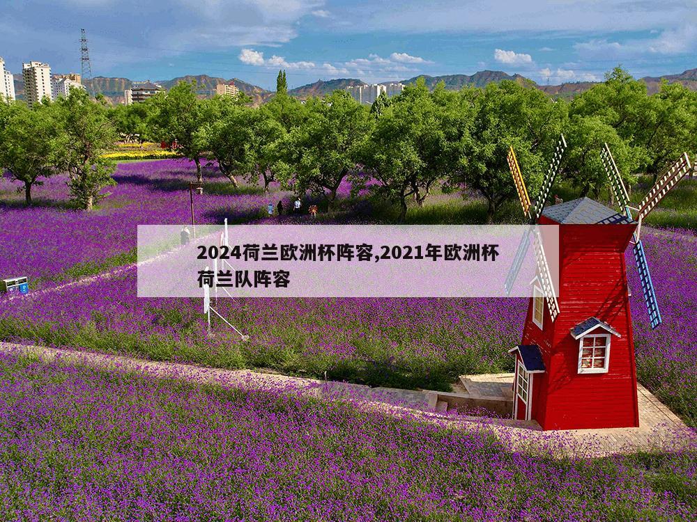 2024荷兰欧洲杯阵容,2021年欧洲杯荷兰队阵容