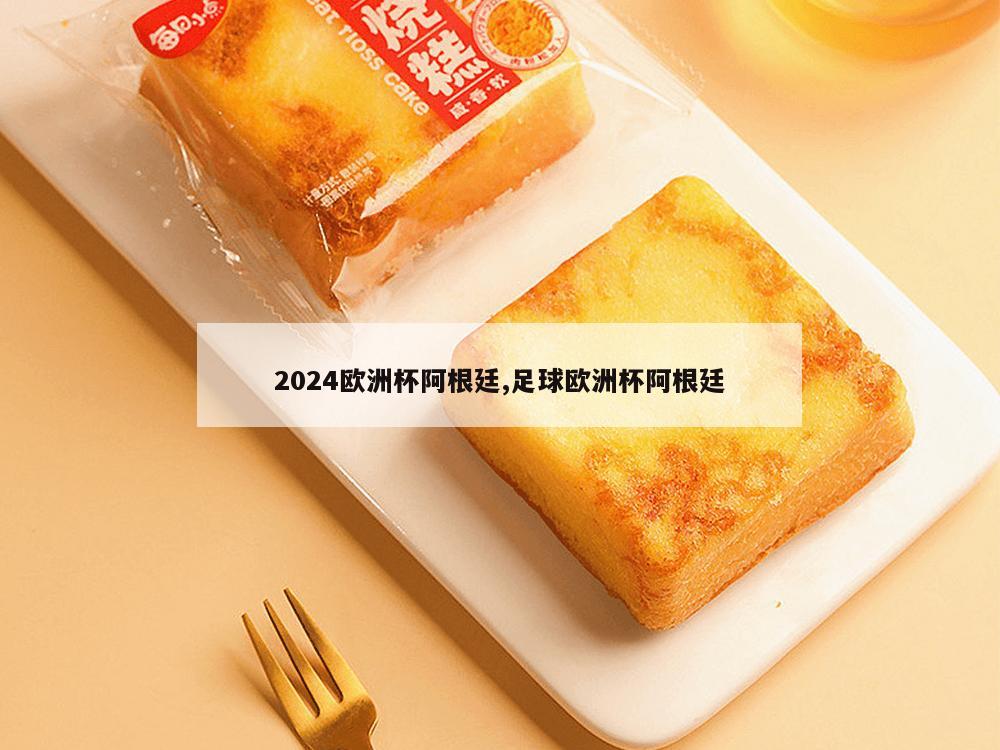 2024欧洲杯阿根廷,足球欧洲杯阿根廷