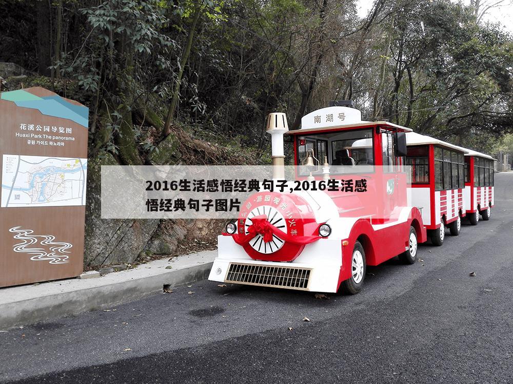 2016生活感悟经典句子,2016生活感悟经典句子图片