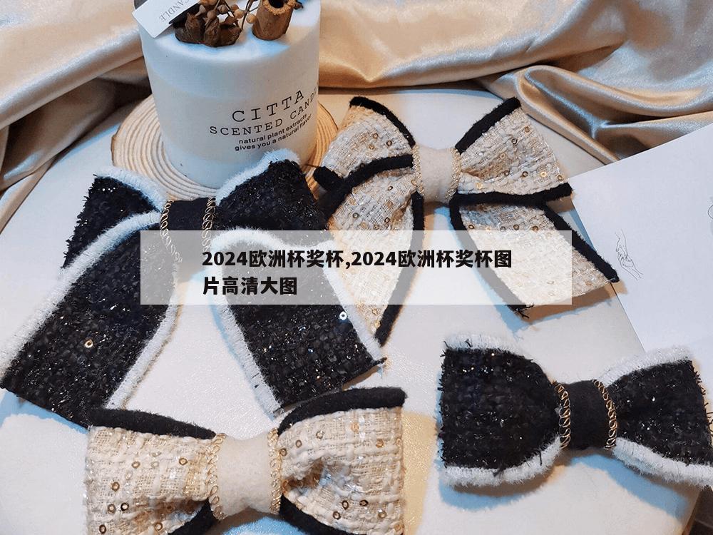 2024欧洲杯奖杯,2024欧洲杯奖杯图片高清大图