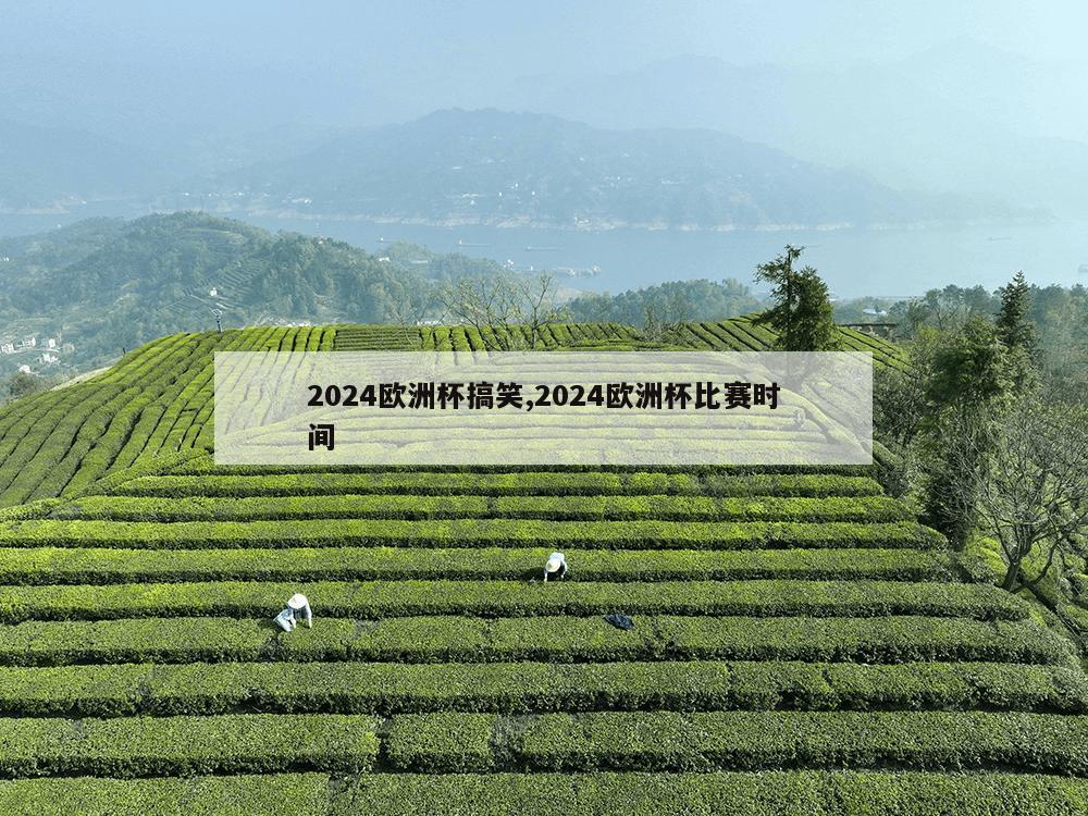 2024欧洲杯搞笑,2024欧洲杯比赛时间