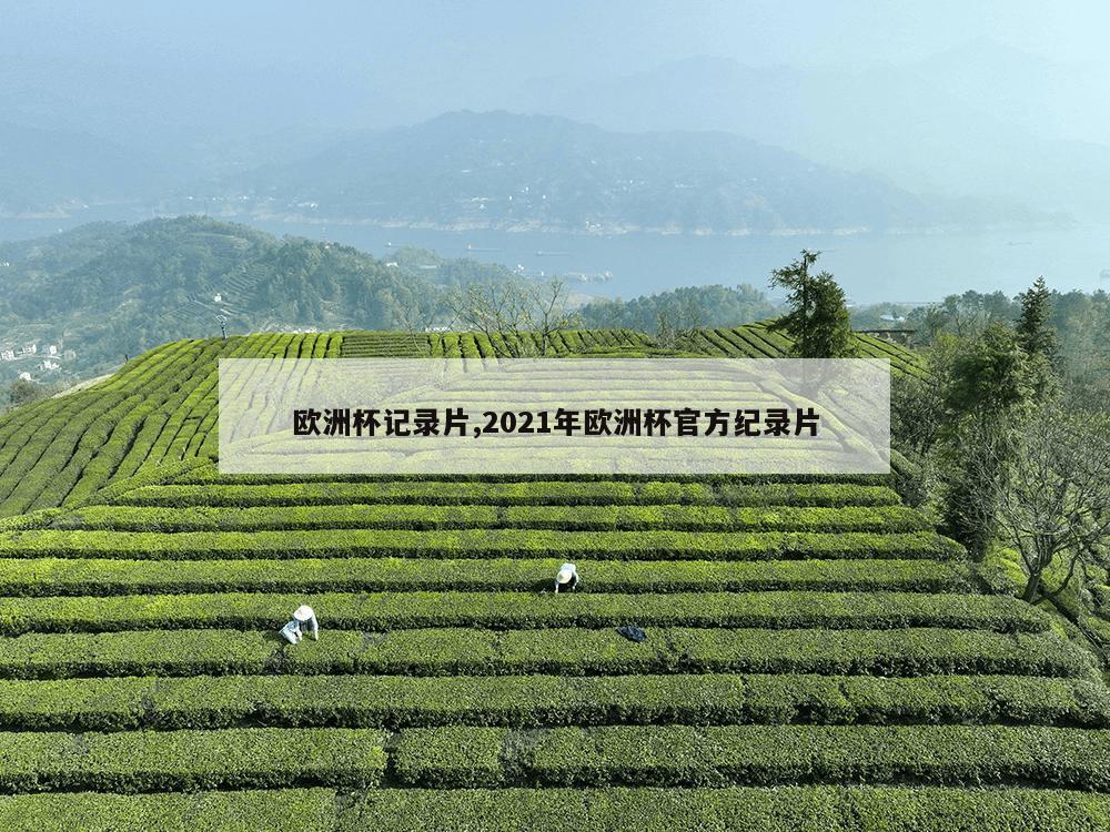 欧洲杯记录片,2021年欧洲杯官方纪录片