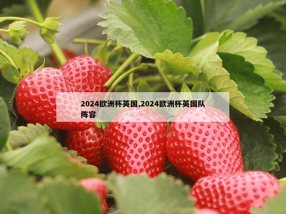 2024欧洲杯英国,2024欧洲杯英国队阵容