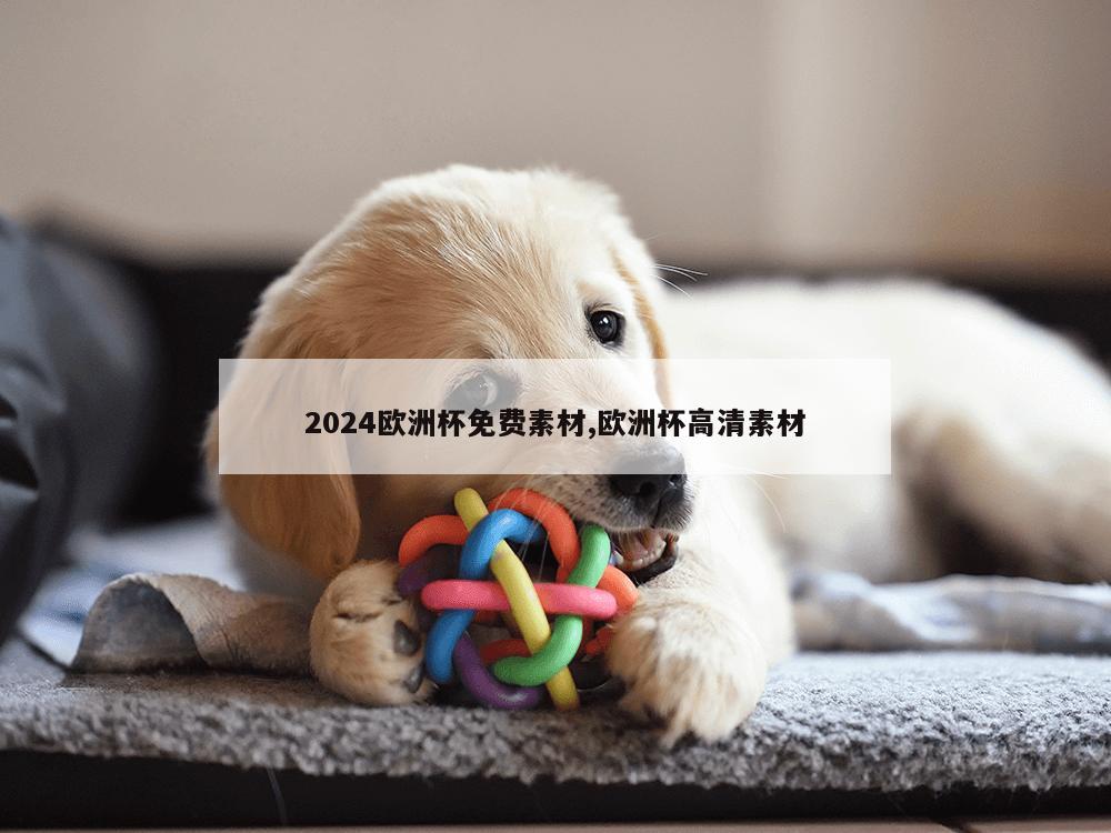 2024欧洲杯免费素材,欧洲杯高清素材