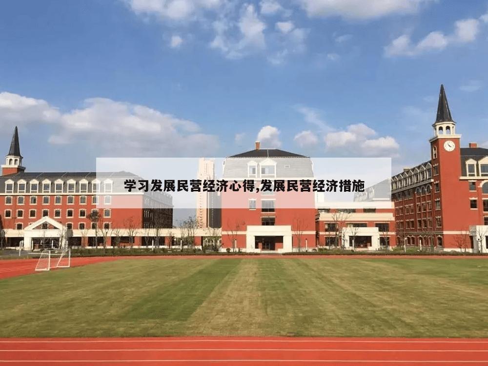 学习发展民营经济心得,发展民营经济措施