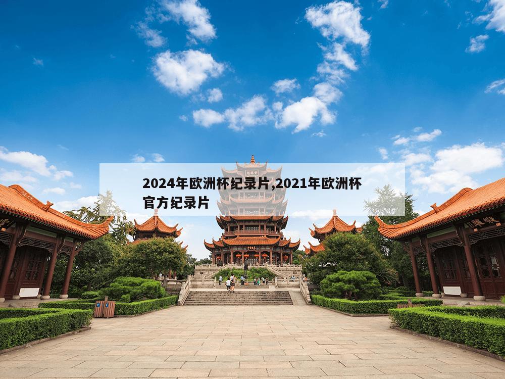 2024年欧洲杯纪录片,2021年欧洲杯官方纪录片