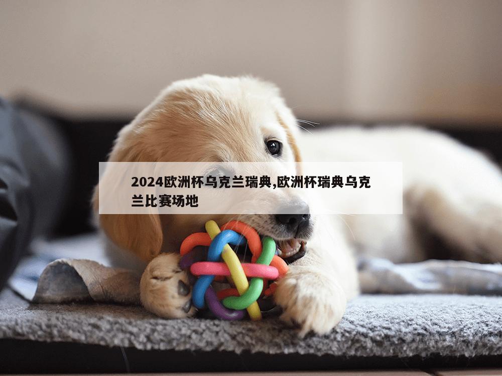 2024欧洲杯乌克兰瑞典,欧洲杯瑞典乌克兰比赛场地