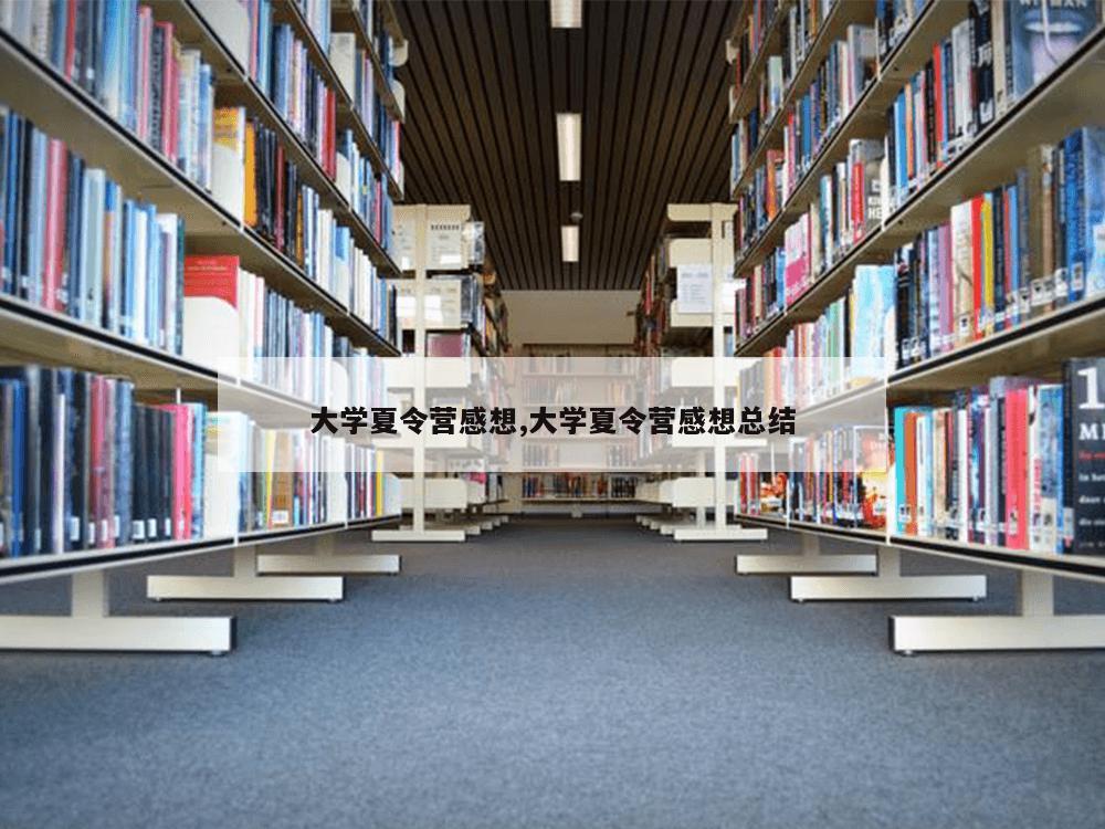 大学夏令营感想,大学夏令营感想总结