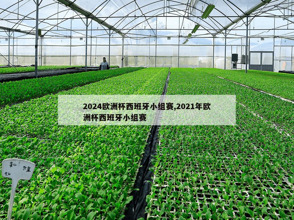 2024欧洲杯西班牙小组赛,2021年欧洲杯西班牙小组赛